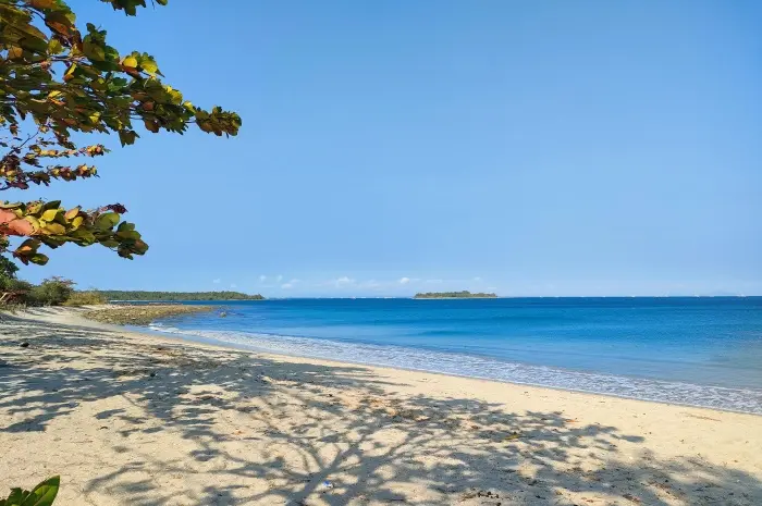 10 Tempat Wisata di Ujung Kulon, Eksplorasi Keindahan Alam dan Keanekaragaman Hayati